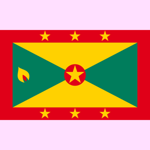 Grenada 🇬🇩 Anklet