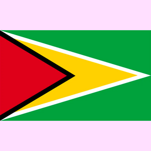 Guyana 🇬🇾 Anklet