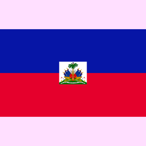 Haiti 🇭🇹 Anklet