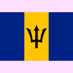 Barbados 🇧🇧 Anklet